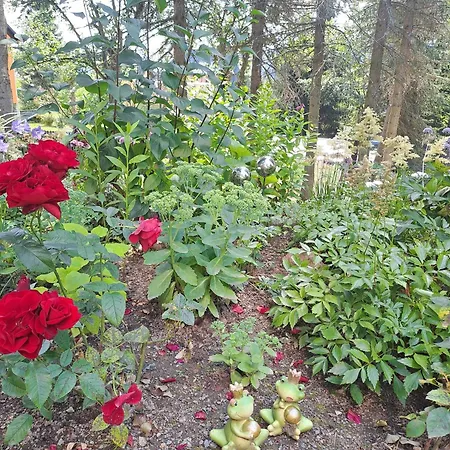 Kaufmann 2 Oberwiesenthal