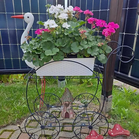 Kaufmann 2 * Oberwiesenthal